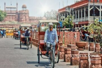 Old & New Delhi Private Sightseeing Tour by TUK-TUK