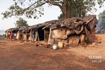 Half Day Delhi Slum Walking Tour