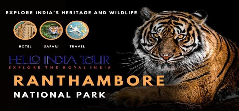 Explore India’s Heritage and Wildlife