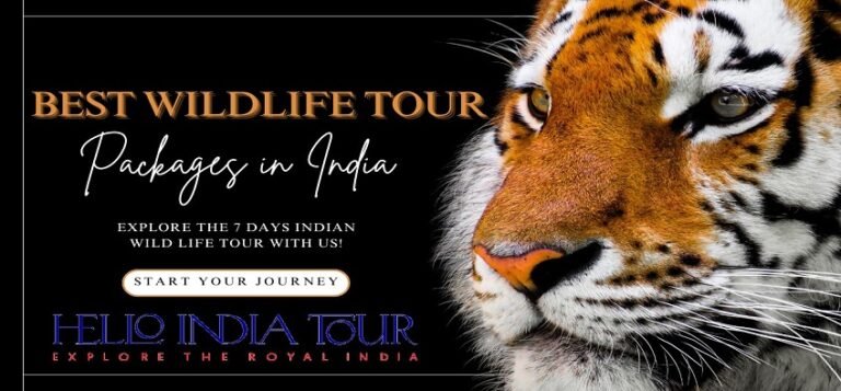 Best Wildlife Tour Packages