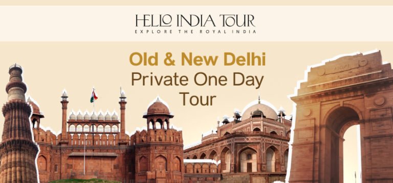 Old & New Delhi Private One Day Tour