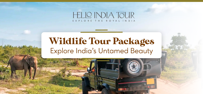 Wildlife Tour Packages