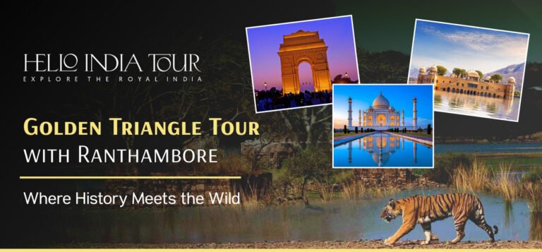 Golden Triangle Tour with Ranthambore
