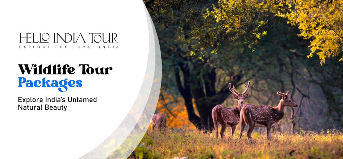 Wildlife Tour Packages India