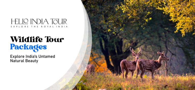Wildlife Tour Packages India
