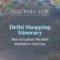 Delhi shopping itinerary